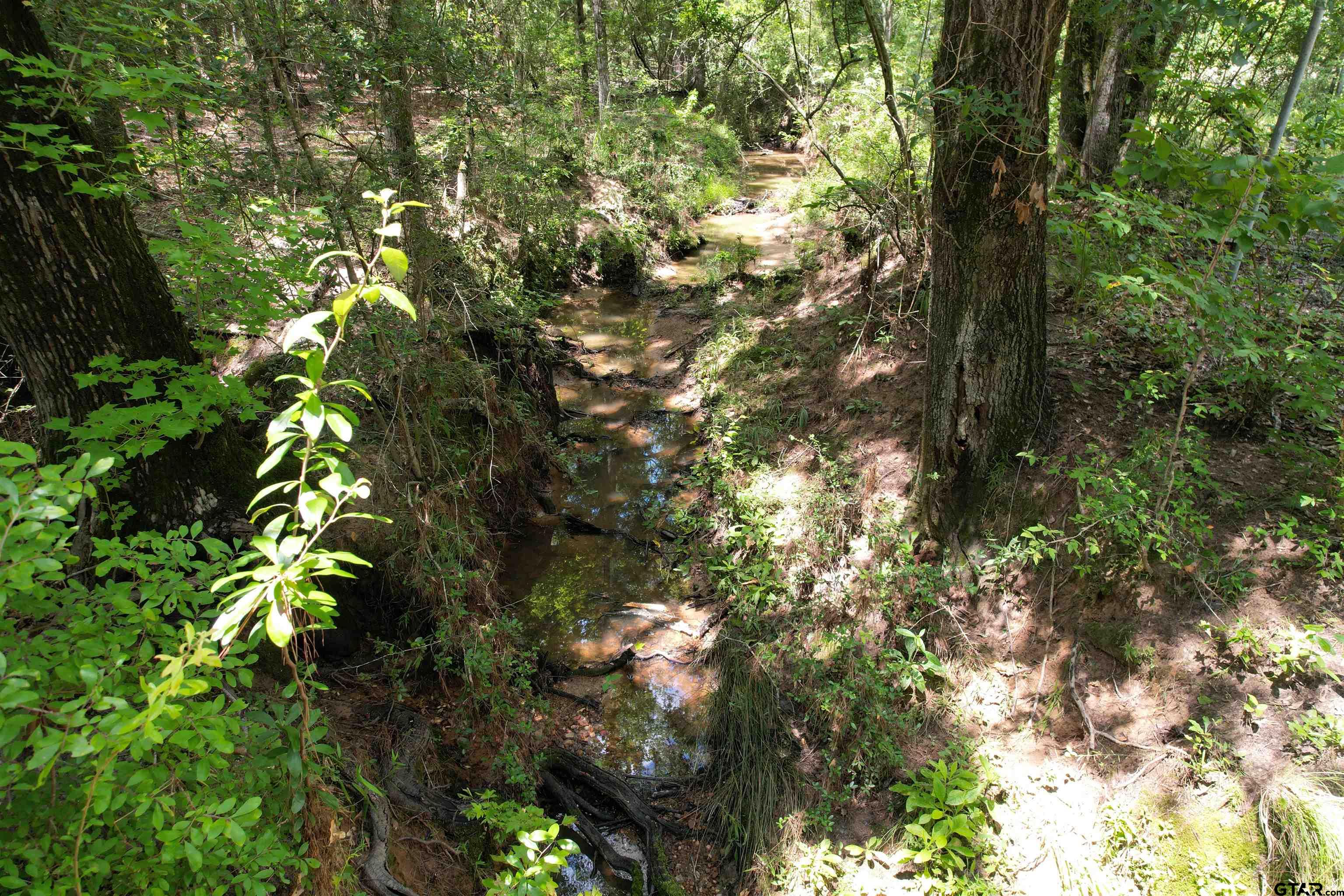 Picture 34