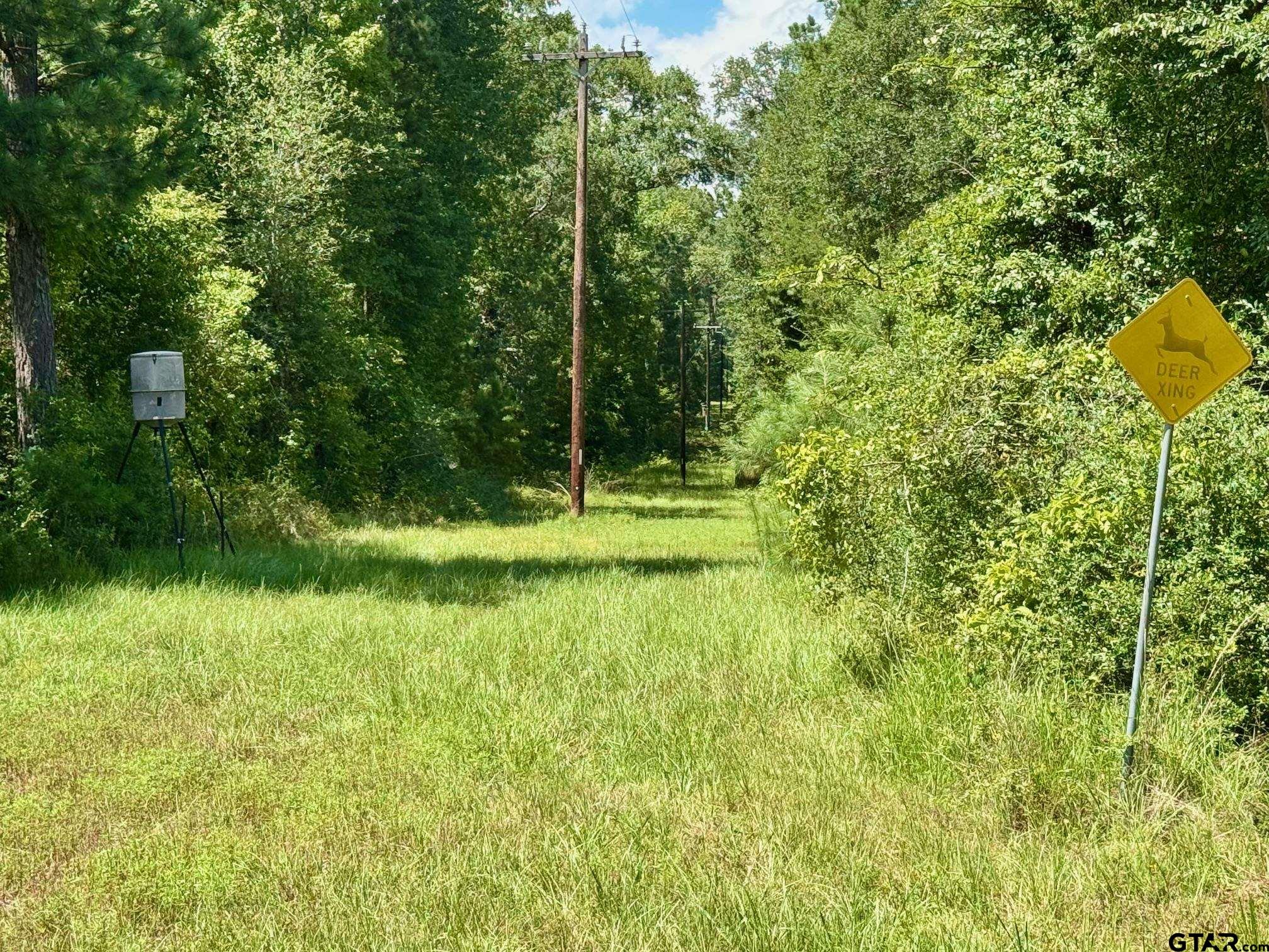 Picture 6