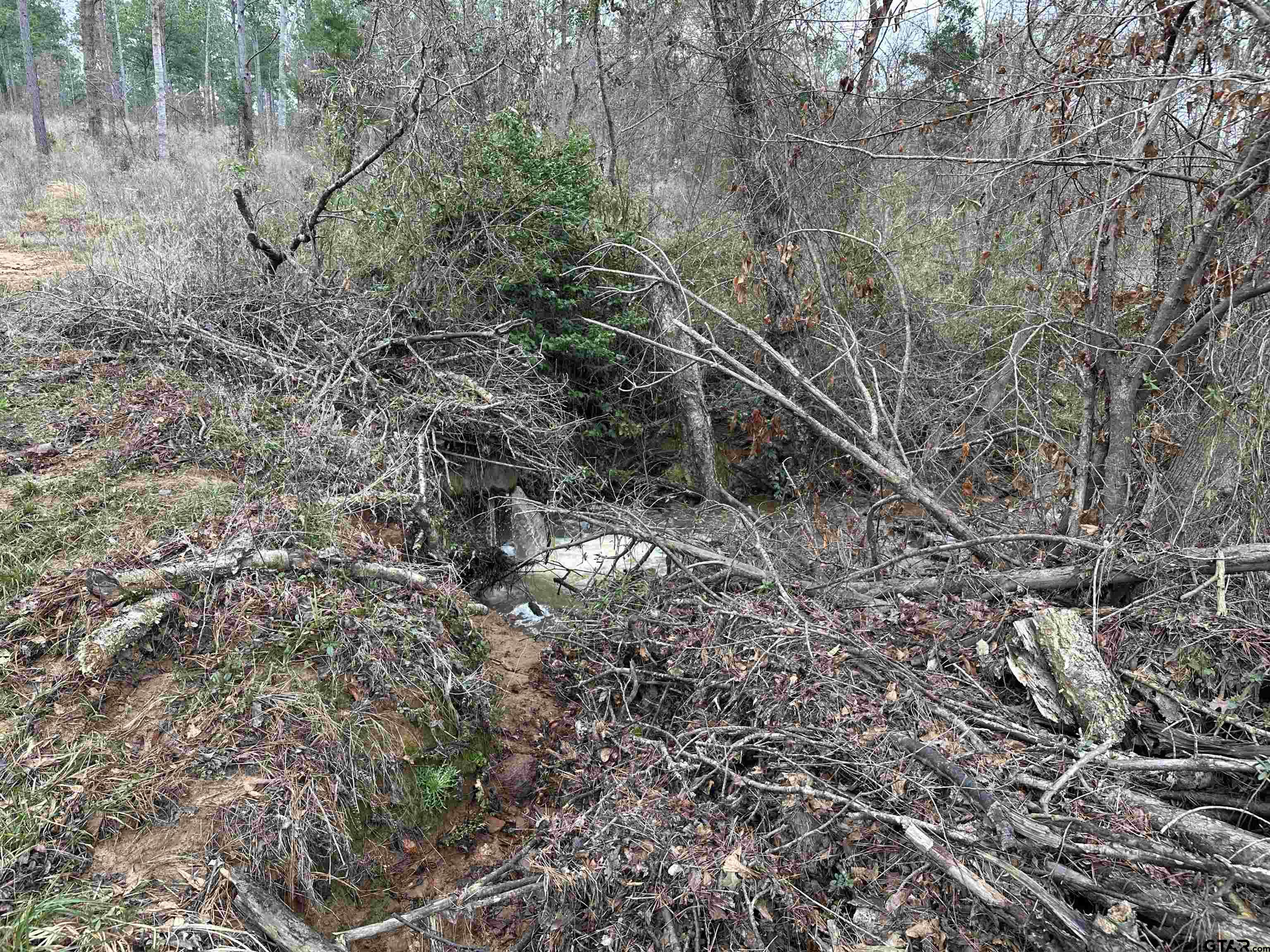Picture 16