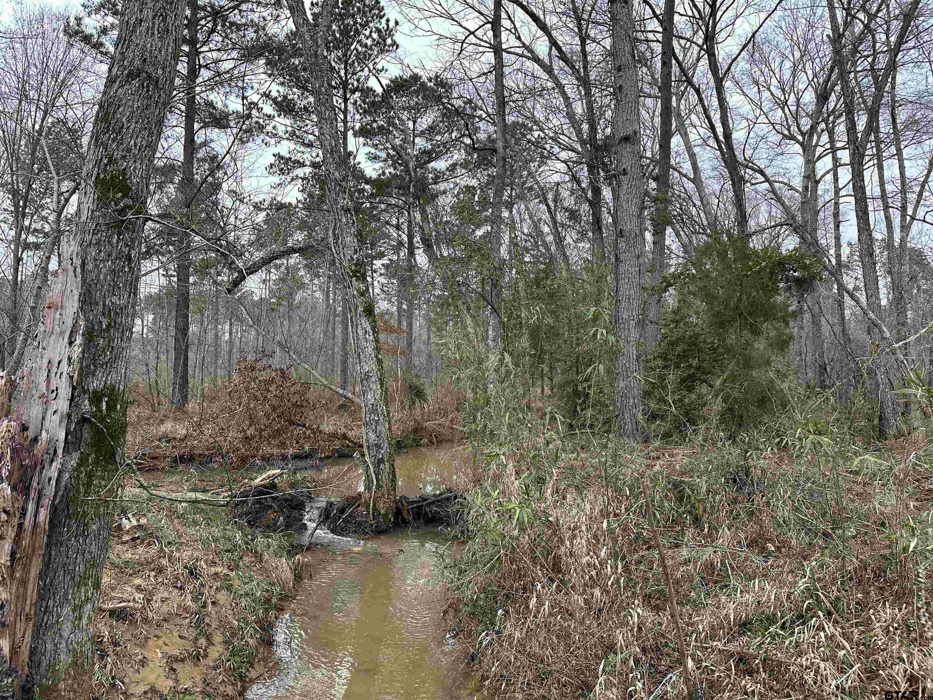 Picture 24