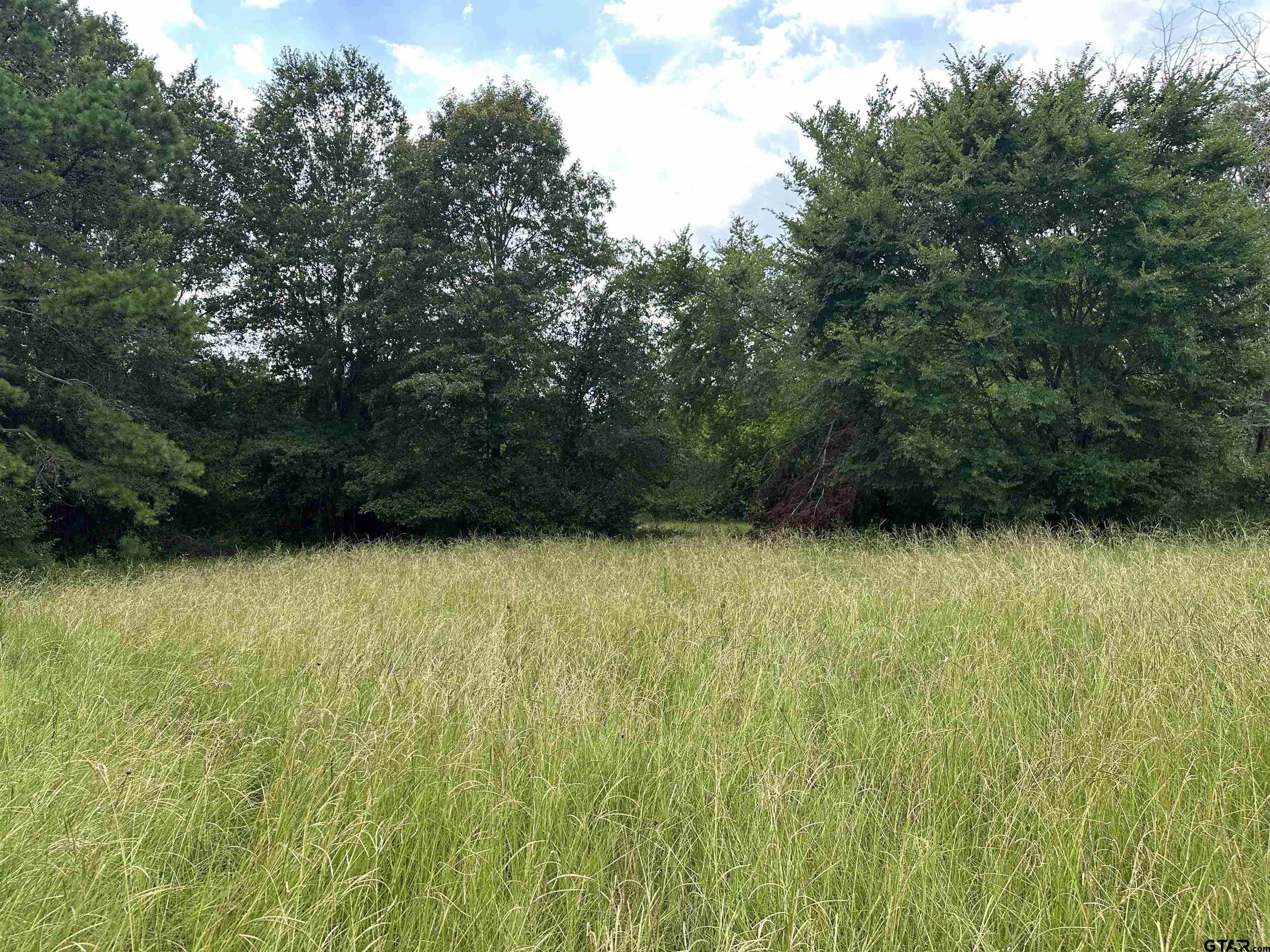 Picture 14