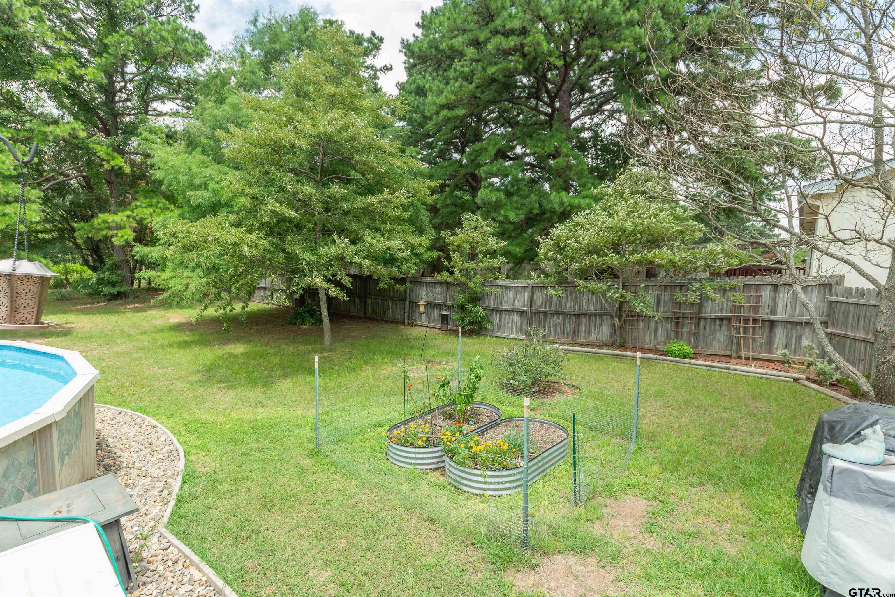 Picture 28