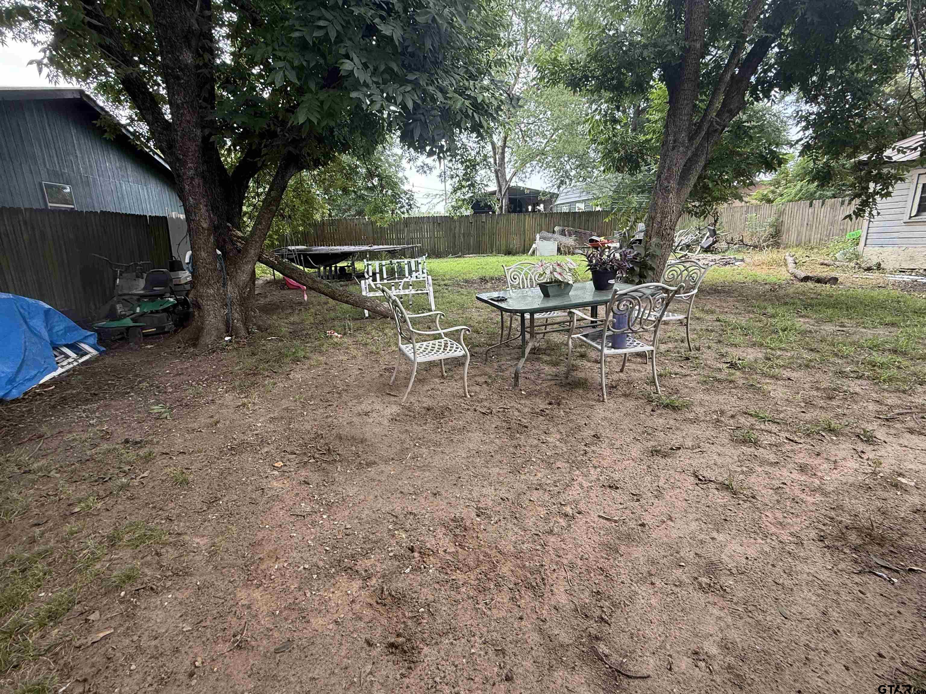 Picture 19