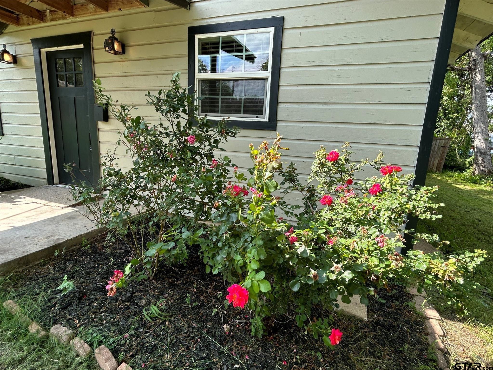 Picture 11