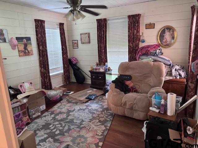 Picture 3
