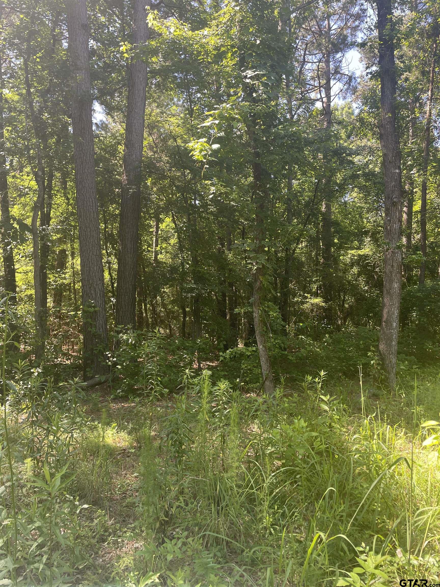 Property Image 25