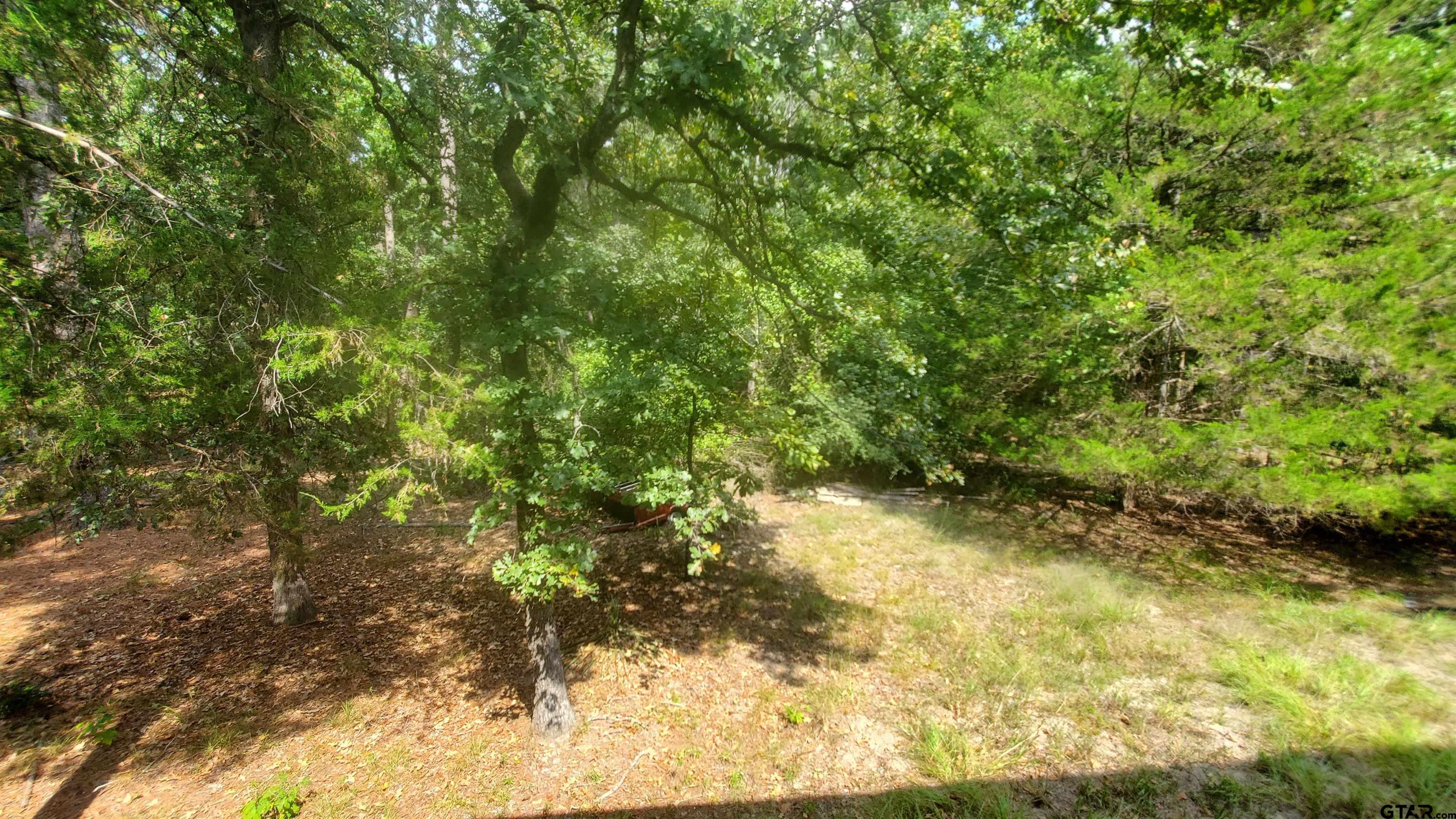 Picture 15